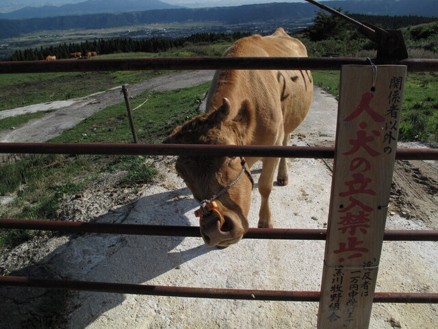 クリックすると拡大