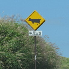 クリックすると周りの景色を表示