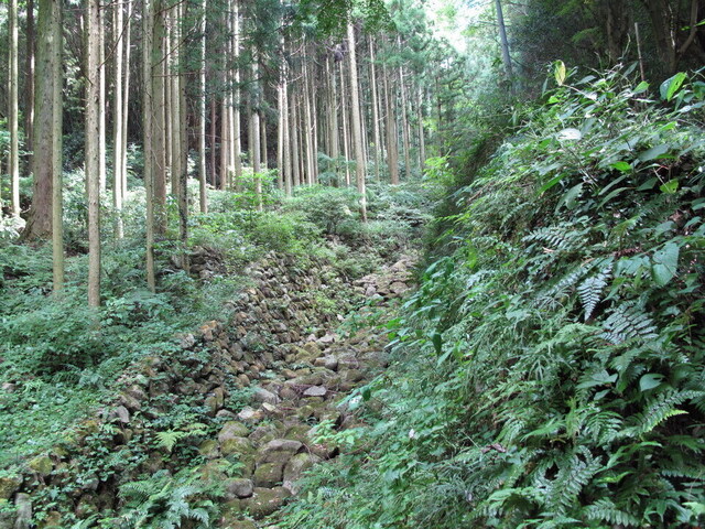 クリックすると拡大