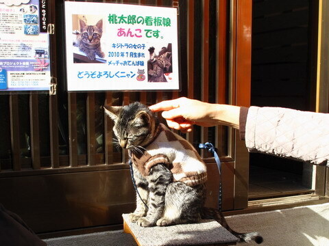 クリックすると拡大