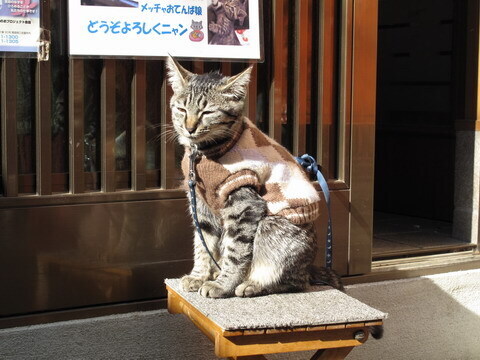 クリックすると拡大