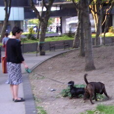 IMGP0457-233.jpg