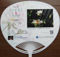 クリックすると拡大