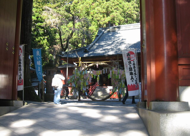 IMG_0773-1567.jpg
