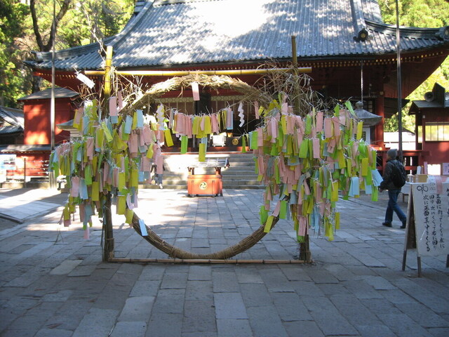 IMG_0774-1094.jpg