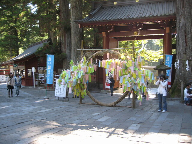 IMG_0777-1094.jpg