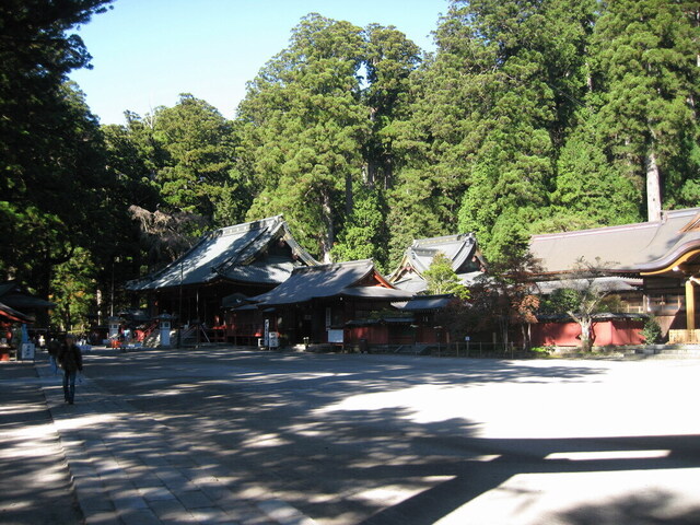 IMG_0781-1094.jpg