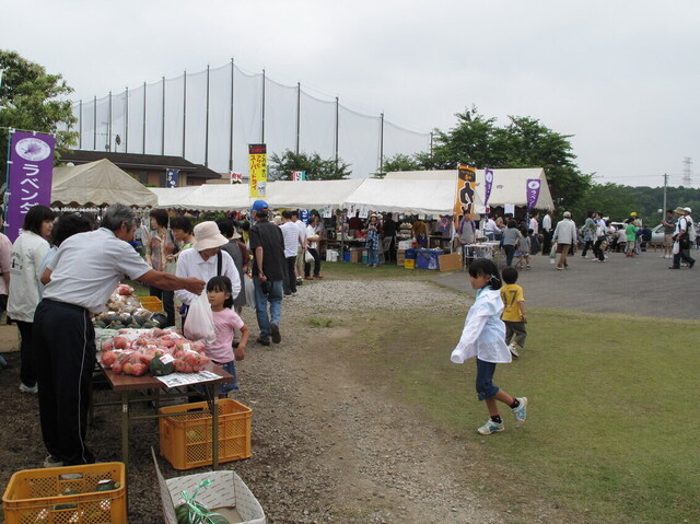 IMG_3676-1134.jpg