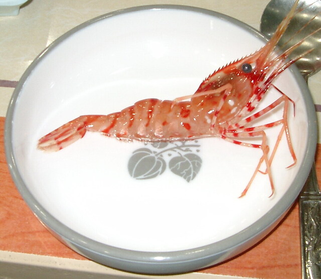 クリックすると拡大